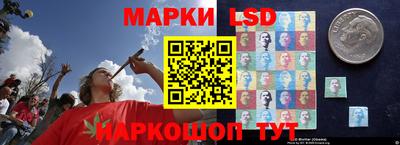 гидропоника Усть-Джегута