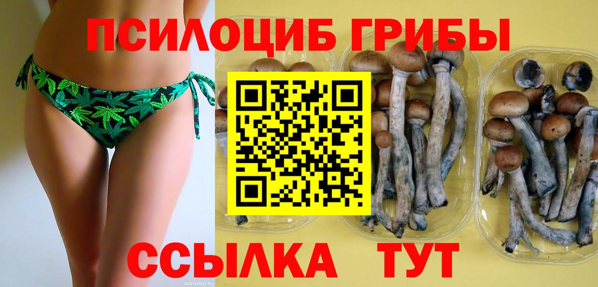 Псилоцибиновые грибы GOLDEN TEACHER Москва